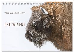 Emotionale Momente: Der Wisent. (Tischkalender 2024 DIN A5 quer), CALVENDO Monatskalender von Gerlach,  Ingo