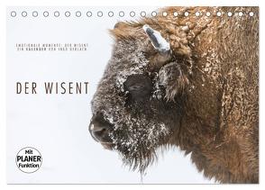 Emotionale Momente: Der Wisent. (Tischkalender 2024 DIN A5 quer), CALVENDO Monatskalender von Gerlach,  Ingo