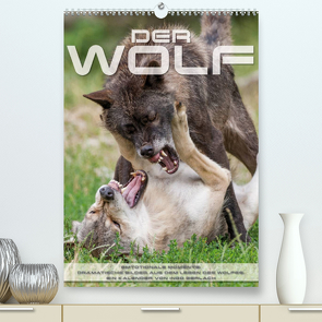 Emotionale Momente: Der Wolf. (Premium, hochwertiger DIN A2 Wandkalender 2022, Kunstdruck in Hochglanz) von Gerlach,  Ingo