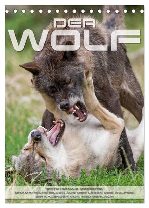 Emotionale Momente: Der Wolf. (Tischkalender 2024 DIN A5 hoch), CALVENDO Monatskalender von Gerlach,  Ingo