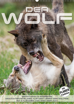 Emotionale Momente: Der Wolf. (Wandkalender 2021 DIN A2 hoch) von Gerlach,  Ingo