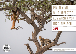 Emotionale Momente: Die besten Wildlifefotos aus Afrika. (Wandkalender 2021 DIN A2 quer) von Gerlach,  Ingo