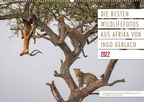 Emotionale Momente: Die besten Wildlifefotos aus Afrika. (Wandkalender 2022 DIN A2 quer) von Gerlach,  Ingo