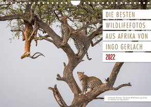 Emotionale Momente: Die besten Wildlifefotos aus Afrika. (Wandkalender 2022 DIN A4 quer) von Gerlach,  Ingo