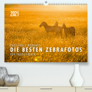 Emotionale Momente: Die besten Zebrafotos von Ingo Gerlach (Premium, hochwertiger DIN A2 Wandkalender 2021, Kunstdruck in Hochglanz) von Gerlach,  Ingo