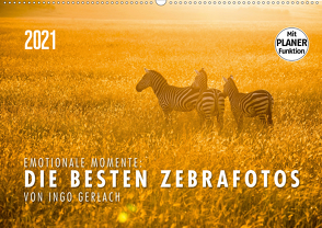 Emotionale Momente: Die besten Zebrafotos von Ingo Gerlach (Wandkalender 2021 DIN A2 quer) von Gerlach,  Ingo