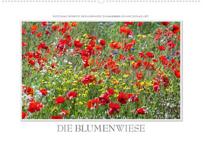 Emotionale Momente: Die Blumenwiese. (Premium, hochwertiger DIN A2 Wandkalender 2022, Kunstdruck in Hochglanz) von Gerlach GDT,  Ingo