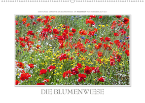 Emotionale Momente: Die Blumenwiese. (Wandkalender 2021 DIN A2 quer) von Gerlach GDT,  Ingo