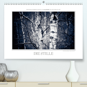 Emotionale Momente: Die Stille. / CH-Version (Premium, hochwertiger DIN A2 Wandkalender 2021, Kunstdruck in Hochglanz) von Gerlach GDT,  Ingo