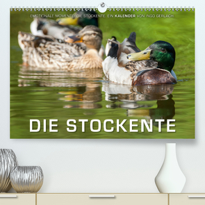 Emotionale Momente: Die Stockente. (Premium, hochwertiger DIN A2 Wandkalender 2021, Kunstdruck in Hochglanz) von Gerlach,  Ingo