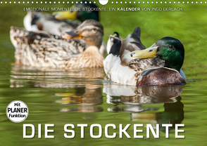 Emotionale Momente: Die Stockente. (Wandkalender 2021 DIN A3 quer) von Gerlach,  Ingo