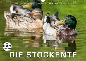 Emotionale Momente: Die Stockente. (Wandkalender 2022 DIN A3 quer) von Gerlach,  Ingo