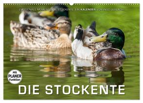 Emotionale Momente: Die Stockente. (Wandkalender 2024 DIN A2 quer), CALVENDO Monatskalender von Gerlach,  Ingo