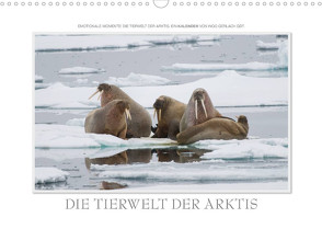 Emotionale Momente: Die Tierwelt der Arktis / CH-Version (Wandkalender 2023 DIN A3 quer) von Gerlach GDT,  Ingo