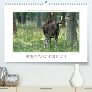 Emotionale Momente: Europäischer Elch. (Premium, hochwertiger DIN A2 Wandkalender 2023, Kunstdruck in Hochglanz) von Gerlach GDT,  Ingo