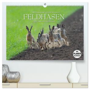 Emotionale Momente: Feldhasen (hochwertiger Premium Wandkalender 2024 DIN A2 quer), Kunstdruck in Hochglanz von Gerlach GDT,  Ingo