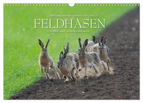 Emotionale Momente: Feldhasen (Wandkalender 2024 DIN A3 quer), CALVENDO Monatskalender von Gerlach GDT,  Ingo