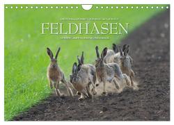 Emotionale Momente: Feldhasen (Wandkalender 2024 DIN A4 quer), CALVENDO Monatskalender von Gerlach GDT,  Ingo