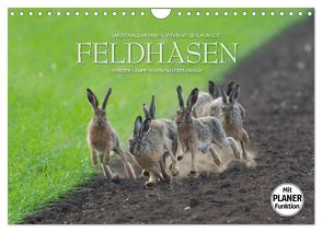 Emotionale Momente: Feldhasen (Wandkalender 2024 DIN A4 quer), CALVENDO Monatskalender von Gerlach GDT,  Ingo