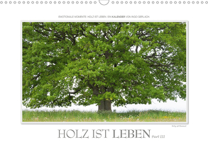 Emotionale Momente: Holz ist Leben. Part III. (Wandkalender 2020 DIN A3 quer) von Gerlach,  Ingo