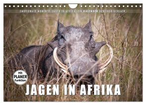 Emotionale Momente: Jagen in Afrika. (Wandkalender 2024 DIN A4 quer), CALVENDO Monatskalender von Gerlach,  Ingo