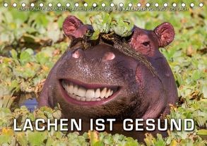 Emotionale Momente: Lachen ist gesund. (Tischkalender 2018 DIN A5 quer) von Gerlach,  Ingo