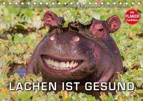 Emotionale Momente: Lachen ist gesund. (Tischkalender 2019 DIN A5 quer) von Gerlach,  Ingo