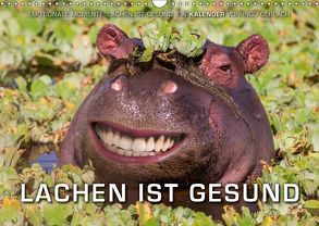 Emotionale Momente: Lachen ist gesund. (Wandkalender 2018 DIN A3 quer) von Gerlach,  Ingo