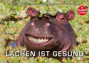 Emotionale Momente: Lachen ist gesund. (Wandkalender 2019 DIN A3 quer) von Gerlach,  Ingo