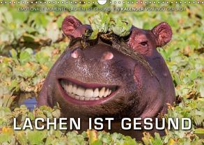 Emotionale Momente: Lachen ist gesund. (Wandkalender 2019 DIN A3 quer) von Gerlach,  Ingo