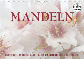 Emotionale Momente: Mandeln (Wandkalender 2023 DIN A4 quer) von Gerlach,  Ingo