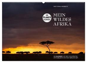 Emotionale Momente: Mein wildes Afrika (Wandkalender 2024 DIN A2 quer), CALVENDO Monatskalender von Gerlach GDT,  Ingo