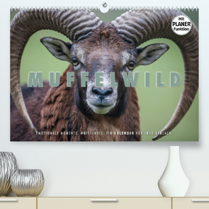 Emotionale Momente: Muffelwild. (Premium, hochwertiger DIN A2 Wandkalender 2023, Kunstdruck in Hochglanz) von Gerlach,  Ingo