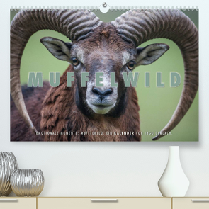 Emotionale Momente: Muffelwild. (Premium, hochwertiger DIN A2 Wandkalender 2023, Kunstdruck in Hochglanz) von Gerlach,  Ingo