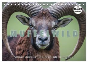 Emotionale Momente: Muffelwild. (Tischkalender 2024 DIN A5 quer), CALVENDO Monatskalender von Gerlach,  Ingo