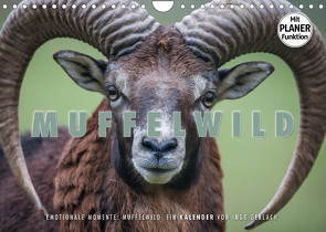 Emotionale Momente: Muffelwild. (Wandkalender 2023 DIN A4 quer) von Gerlach,  Ingo