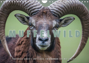 Emotionale Momente: Muffelwild. (Wandkalender 2023 DIN A4 quer) von Gerlach,  Ingo