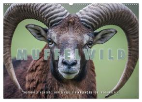 Emotionale Momente: Muffelwild. (Wandkalender 2024 DIN A2 quer), CALVENDO Monatskalender von Gerlach,  Ingo