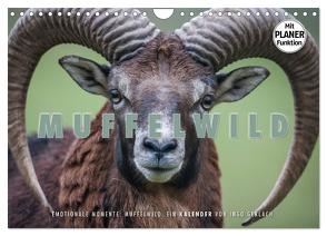 Emotionale Momente: Muffelwild. (Wandkalender 2024 DIN A4 quer), CALVENDO Monatskalender von Gerlach,  Ingo