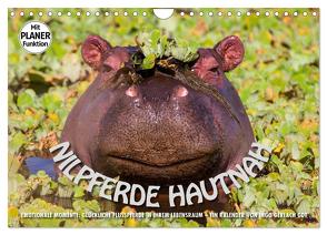 Emotionale Momente: Nilpferde hautnah (Wandkalender 2024 DIN A4 quer), CALVENDO Monatskalender von Gerlach GDT,  Ingo