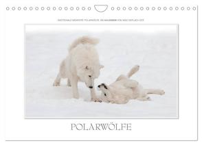 Emotionale Momente: Polarwölfe. / CH-Version (Wandkalender 2024 DIN A4 quer), CALVENDO Monatskalender von Gerlach GDT,  Ingo