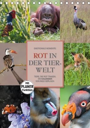 Emotionale Momente: Rot in der Tierwelt (Tischkalender 2018 DIN A5 hoch) von Gerlach GDT,  Ingo