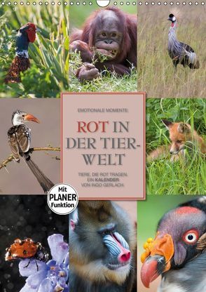 Emotionale Momente: Rot in der Tierwelt (Wandkalender 2019 DIN A3 hoch) von Gerlach GDT,  Ingo