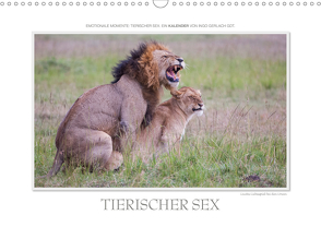 Emotionale Momente: Tierischer Sex. (Wandkalender 2021 DIN A3 quer) von Gerlach GDT,  Ingo