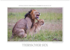 Emotionale Momente: Tierischer Sex. (Wandkalender 2022 DIN A2 quer) von Gerlach GDT,  Ingo