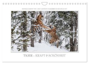 Emotionale Momente: Tiger – Kraft & Schönheit. / CH-Version (Wandkalender 2024 DIN A4 quer), CALVENDO Monatskalender von Gerlach GDT,  Ingo