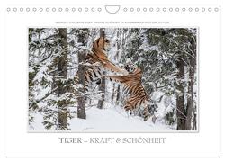 Emotionale Momente: Tiger – Kraft & Schönheit. (Wandkalender 2024 DIN A4 quer), CALVENDO Monatskalender von Gerlach GDT,  Ingo