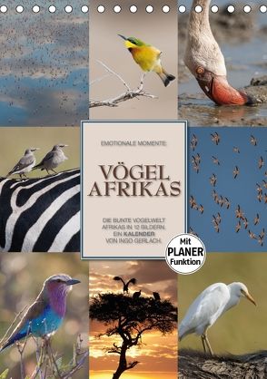 Emotionale Momente: Vögel Afrikas (Tischkalender 2018 DIN A5 hoch) von Gerlach GDT,  Ingo