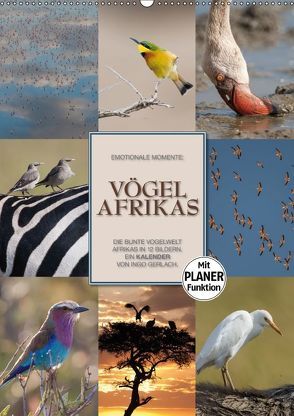 Emotionale Momente: Vögel Afrikas (Wandkalender 2018 DIN A2 hoch) von Gerlach GDT,  Ingo