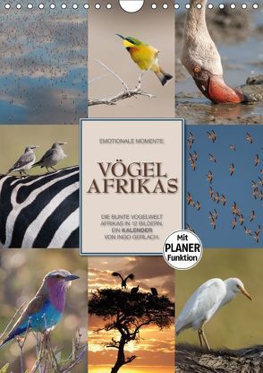 Emotionale Momente: Vögel Afrikas (Wandkalender 2018 DIN A4 hoch) von Gerlach GDT,  Ingo